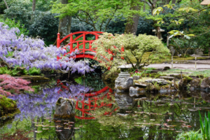 Lire la suite à propos de l’article Comment faire un jardin japonais ?